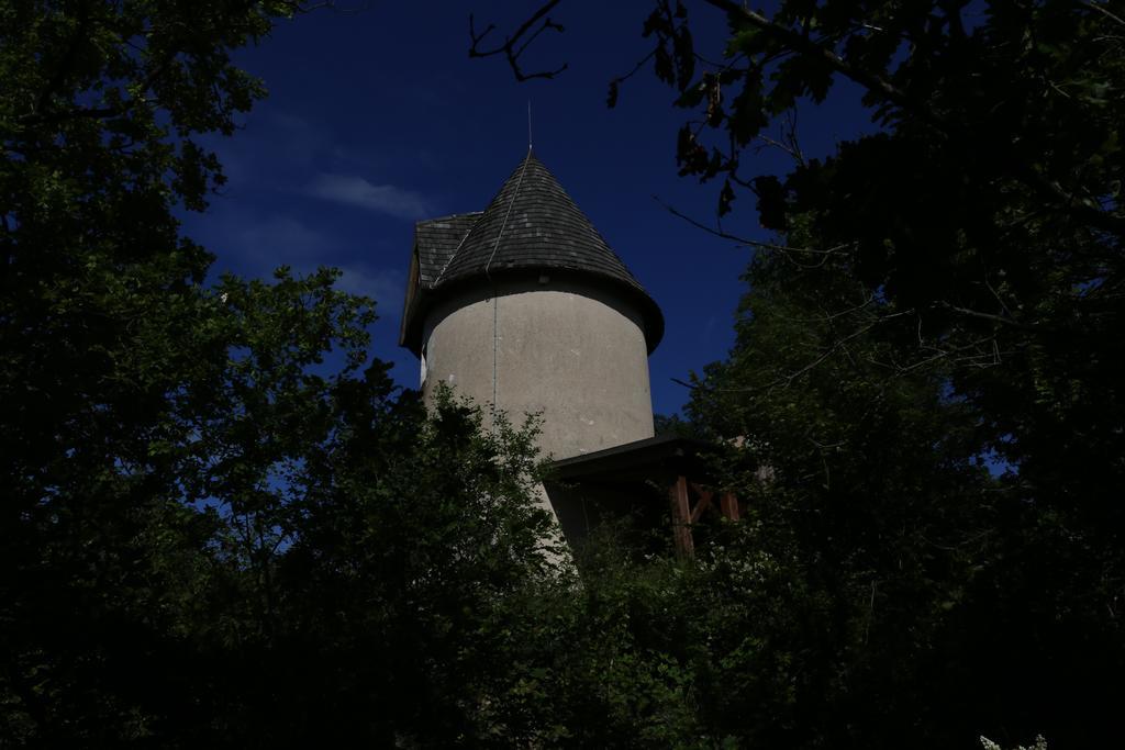 Moulin De Rouze Villa Castelnaud-de-Gratecambe Ruang foto